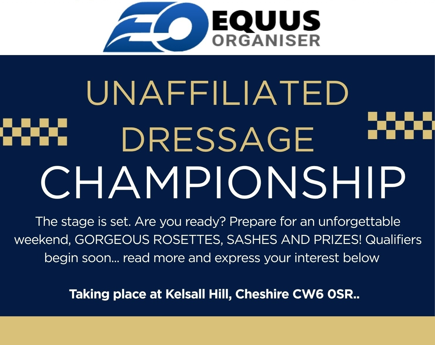 Horse and rider competing in dressage.