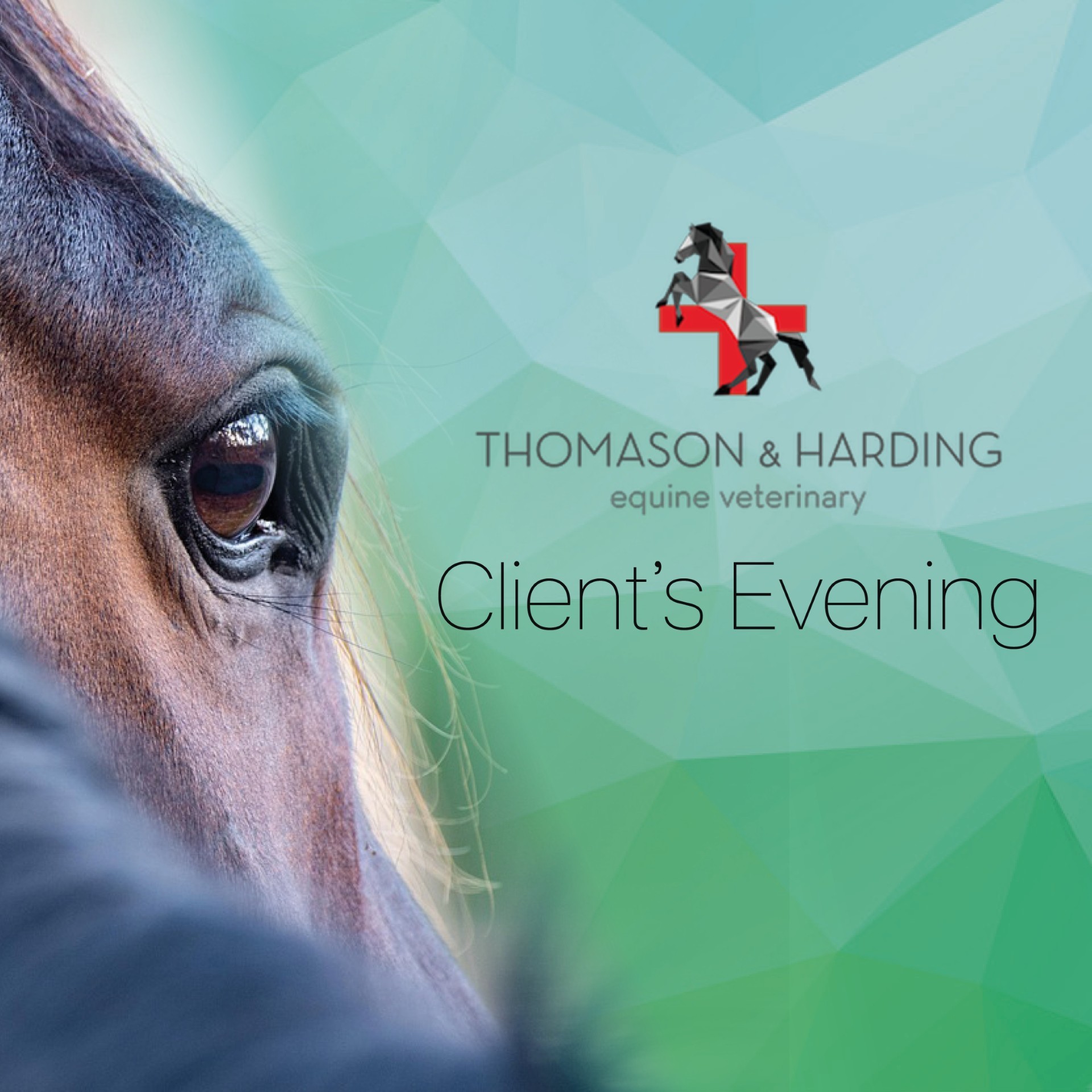 Thomason and Harding equine veterinary client evening